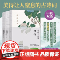 美得窒息的唐诗宋词诗经全套3册 许渊冲译 中英双语诗画集文学散文随笔诗歌诗词 美得让人窒息的唐诗 宋词 诗经