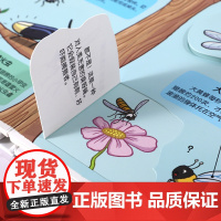 小小探险家第四辑:奇奇怪怪的虫虫