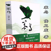 笨鸟:致我们的童真年代 侯卫东 著 觉醒年代同作者小说 青少年儿童文学读物小学生课外阅读书籍三四五六年级 成长励志故事