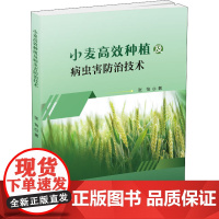 小麦高效种植及病虫害防治技术 张怡 著 畜牧/养殖专业科技 正版图书籍 科学技术文献出版社