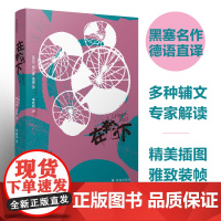 黑塞作品:在轮下 诺贝尔文学奖得主黑塞代表作品 天才少年陨落引起无数青少年共鸣引发对于教育制度的反思外国经典小说译林出版