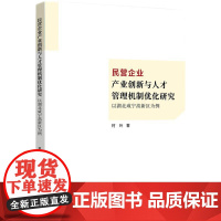 民营企业产业创新与人才管理机制优化研究:以湖北咸宁高新区为例