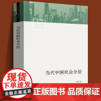 当代中国社会分层 李强 著 社会科学 代中国社会阶层状况历史积淀现实 社会学研究 正版图书籍 生活书店