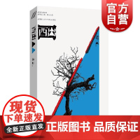 西出 老云作品援疆人的大气象小故事上海文艺出版社中国现当代文学