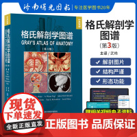 格氏解剖学图谱 第3三版 中英双语 解剖学方位术语和平面 解剖学平面和影像 背部胸部腹部图解 武艳主译 北京大学医学出版