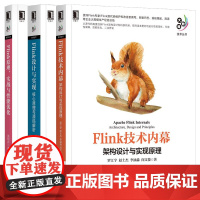 大数据技术丛书全三册 Flink 原理 实战与性能优化+Flink设计与实现与源码解析+Flink技术内幕 架构设计与实