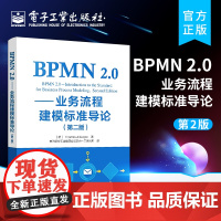 正版 BPMN 2.0 业务流程建模标准导论 第二版 业务流程建模 BPMN规范 业务流程建模实践书籍 BPMN 2.0