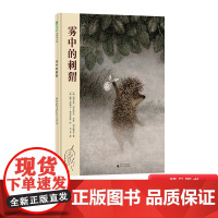 雾中的刺猬精装绘本图画书3岁4岁5岁6岁亲子共读让孩子在充满惊奇的旅途中开心玩乐使大人在这纤细唯美的世界流连忘返魔法象正