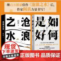 []阎真作品集2册套装:如何是好+沧浪之水 阎真作品集2册套装阎真新书现当代文学一本可以帮你找到立足之地的人生之书