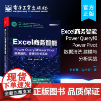 正版 Excel商务智能:Power Query和Power Pivot数据清洗、建模与分析实战 商务智能组件Power