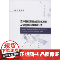 京津冀能源强度的地区差异及协同降耗的路径分析 王韶华,张伟 著 经济理论经管、励志 正版图书籍 经济科学出版社