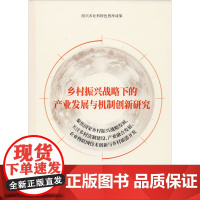 乡村振兴战略下的产业发展与机制创新研究 袁建伟 等 著 各部门经济经管、励志 正版图书籍 浙江工商大学出版社