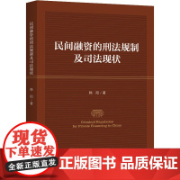 民间融资的刑法规制及司法现状 韩阳 著 刑法经管、励志 正版图书籍 上海三联书店