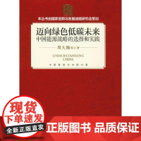 迈向绿色低碳未来 中国能源战略的选择和实践 周大地 等 著 经济理论经管、励志 正版图书籍 外文出版社