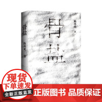 骨盐(80后实力派小说家陈再见长篇新作 少年失踪 雷管炸车 盐田白骨 宗族械斗 灵魂救赎 人心迷局)新经典