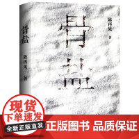 骨盐(80后实力派小说家陈再见长篇新作,少年失踪,雷管炸车,盐田白骨,宗族械斗,灵魂救赎 人心迷局)