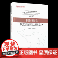 国际税收风险防控法律实务