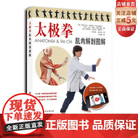 太极拳肌肉解剖图解 太极拳 解剖 24式太极拳 定势动作的肌肉解剖图解 跟随视频学练24式太极拳分解动作和套路 北京科学