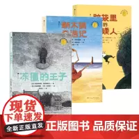 [全3册]涅斯特林格经典作品 冻僵的王子+脑袋里的小矮人+新木偶奇遇记 启迪孩子思考家庭情感道德 浪花朵朵儿童文学