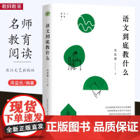 语文到底教什么 吴忠豪 小学语文名师案例 学生的语文核心素养 教学研究 大教育书系 长江文艺出版社 大视教师书店