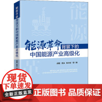 能源革命背景下的中国能源产业高级化 胡健,焦兵,张文彬 著 各部门经济经管、励志 正版图书籍 中国经济出版社