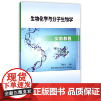 生物化学与分子生物学实验教程/侯新东 侯新东 葛台明 鲁小璐 彭兆丰 著 著 大学教材大中专 正版图书籍