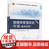 数据库管理系统 中级(备份还原) 武汉达梦数据库股份有限公司 编 大学教材大中专 正版图书籍 华中科技大学出版社