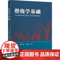 燃烧学基础 顾璠,黄亚继,刘道银 编 化学(新)大中专 正版图书籍 东南大学出版社