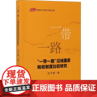 "一带一路"沿线国家税收制度比较研究 赵书博 著 财政/货币/税收经管、励志 正版图书籍 中国财政经济出版社