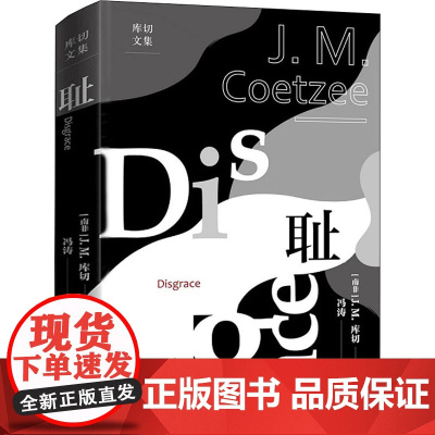 耻 (南非)J.M.库切 著 冯涛 译 外国小说文学 正版图书籍 人民文学出版社