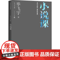 小说课 毕飞宇 著 现代/当代文学文学 正版图书籍 人民文学出版社