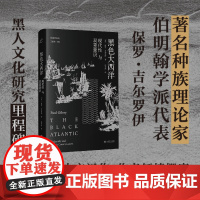 黑色大西洋:现代性与双重意识(共域世界史)