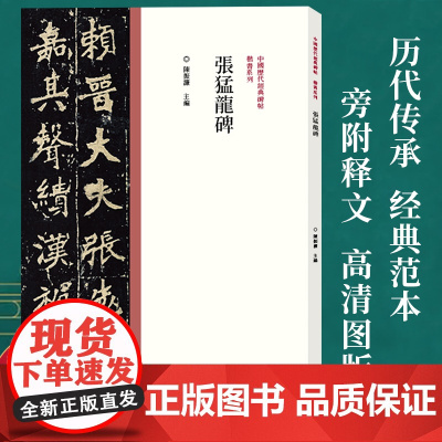 中国历代经典碑帖楷书系列/张猛龙碑 陈振濂 楷书毛笔书法字帖原碑原帖 历代名家作品楷书临摹范本字帖墨迹碑帖赏析