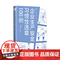 企业生产安全习惯性违章100例 员工安全生产相关知识技能培训漫画加文字形式 企业管理人员培训违章作业知识 中国工人出版社