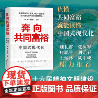 [正版]奔向共同富裕:中国式现代化 韩康张占斌编(13幅手绘图解,16张照片,68种书目,看清未来的中国)湖南人民出版社