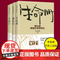 城的灯+生命册+羊的门 共3册 矛盾文学奖得主李佩甫开创性代表作 平原三部曲 洞透平原大地的草根智慧 深刻批判力度令人震