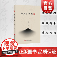 仲威讲碑帖 书法艺术理论字形选临碑帖文房四宝用笔结字执笔法上海科学技术文献出版社篆刻字帖入门书籍