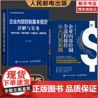 [企业内部控制 规范+实务+操作全流程 2册]企业内部控制基本规范详解与实务+全流程操作从入门到实践 2册