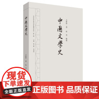 中国文学史(20世纪中国文学史著作丛刊·第一辑)