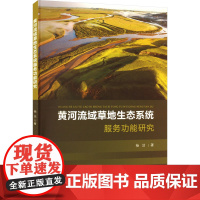 黄河流域草地生态系统服务功能研究 杨洁 著 其它科学技术专业科技 正版图书籍 华中科技大学出版社