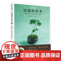 浓缩的四季:小林健二的景色盆景 树木山水石盆景盆栽制作教程 养护管理技术 家庭园艺景观书