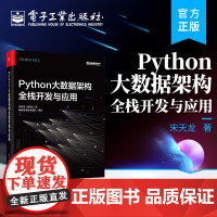 正版 Python大数据架构全栈开发与应用 宋天龙 企业级大数据全栈式开发 数据架构整体设计 电子工业出版社