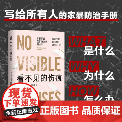 看不见的伤痕 蕾切尔·路易丝·斯奈德 家庭暴力亲密关系反家暴犯罪家庭两性情感心理社会社科纪实看不见的女性