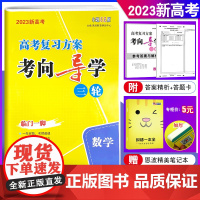 2023新高考数学 恩波教育 小题狂做 高考复习方案考向导学 三轮专题进阶冲刺训练试卷 临门一脚附答案答题卡赠纠错一