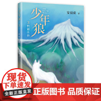 少年狼3:哲别山谷