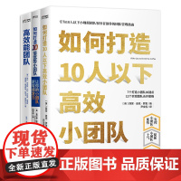 精锐小团队养成手册3册套装(如何打造10人以下高效小团队+如何打造10倍优势小团队+高效能团队)