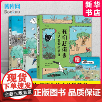 我们赶海去:1+2+海边生物的节日 全套3册 红树林滨海湿地滩涂海洋生物博物环境保护少儿读物科普漫画书 正版