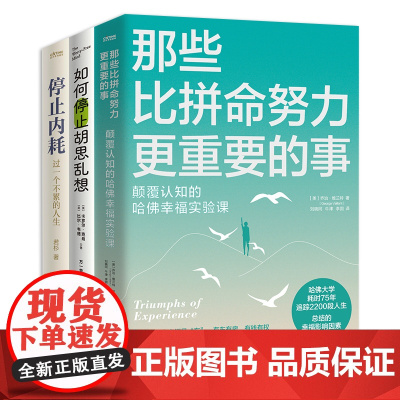 别想太多,就是幸福3册套装:那些比拼命努力更重要的事+如何停止胡思乱想+停止内耗