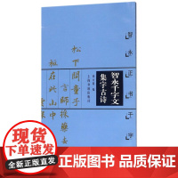 [正版]智永千字文集字古诗(智永正书千字文)/中国古诗集字字帖系列