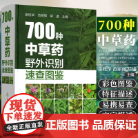 700种中草药野外识别速查图鉴 中草药大全手册 药剂学 中医草药书籍 识别图全集 野生及栽培药用植物大全书籍